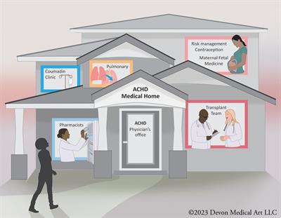 Challenges and opportunities in patients with adult congenital heart disease, a narrative review